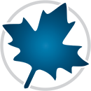 Maple 2021 中文版 安装包